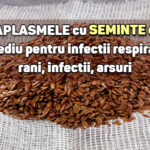 Cataplasma cu seminte de in pentru infectii respiratorii, rani, arsuri, infectii ale pielii