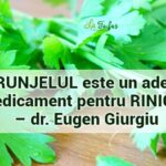 Patrunjelul este un adevărat medicament pentru rinichi – dr. Eugen Giurgiu