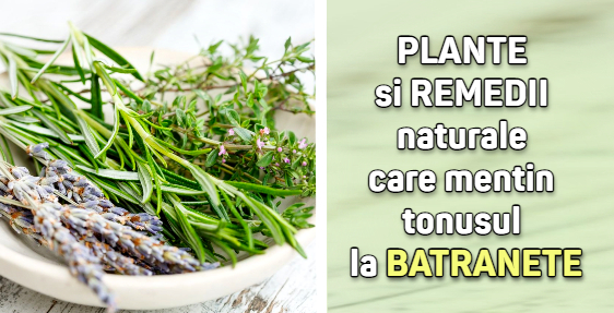 Plante si remedii naturale care mentin tonusul la batranete