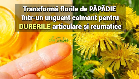 Transforma florile de papadie intr-un unguent calmant pentru durerile articulare si reumatice