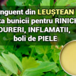 Unguent din leustean – reteta bunicii pentru rinichi, dureri, umflaturi, boli de piele