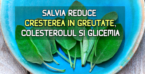 Salvia reduce cresterea in greutate, colesterolul si glicemia
