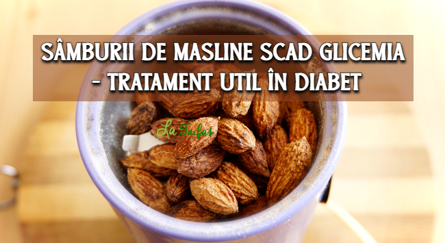 Samburii de masline scad glicemia - tratament pentru diabetici