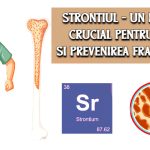 Strontiul - un mineral lipsa in osteoporoza, esential pentru prevenirea fracturilor