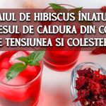 Ceaiul de hibiscus scade fierbinteala din corp, tensiunea si colesterolul
