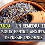 Ceaiul de lavandă – un tratament alternativ ieftin si sigur pentru anxietate, depresie si insomnie