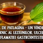 Ceaiul de patlagina - un vindecator puternic al leziunilor, ulcerelor si inflamatiei gastrointestinale 