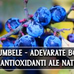 Porumbele - adevarate bombe de antioxidanti (utilizari terapeutice)