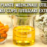 5 plante medicinale utile pentru copii (utilizari externe)