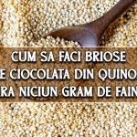 Briose de ciocolata din quinoa - fara niciun gram de faina