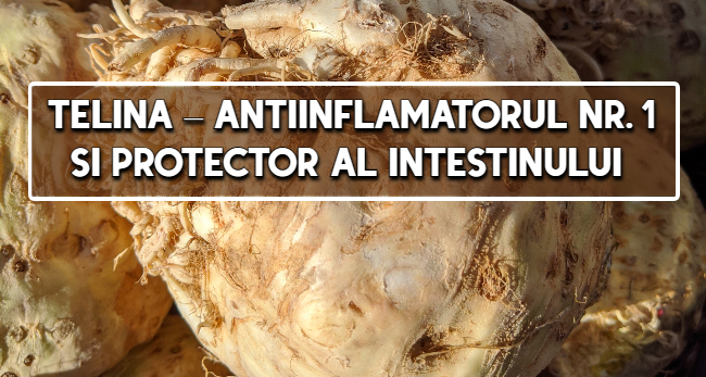 Telina – antiinflamatorul nr. 1 si protector al intestinului
