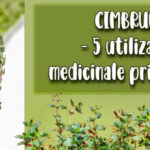 Cimbrul - 5 utilizari medicinale principale