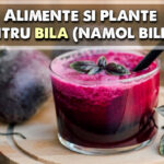 Alimente și plante care îmbunătățesc fluxul biliar (nămol biliar)