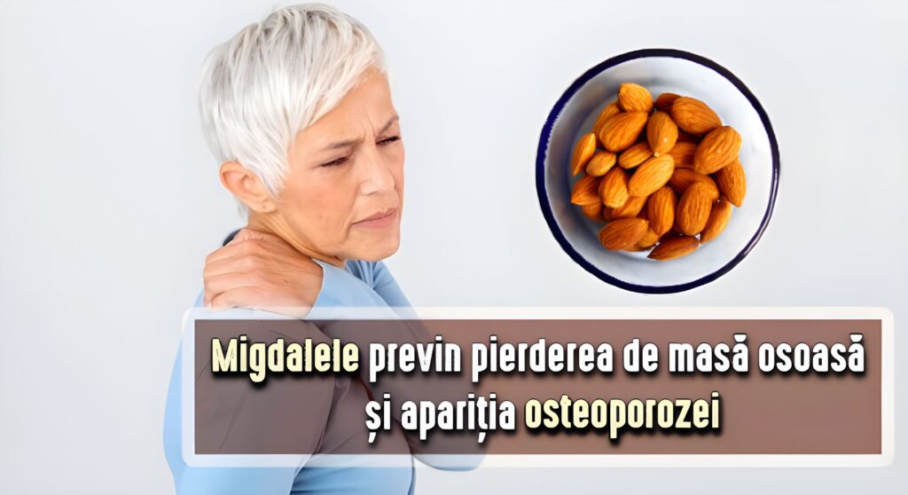 Migdalele previn pierderea de masa osoasa si osteoporoza