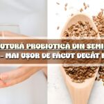 Bautura probiotica din seminte de in