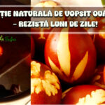 Solutie naturala de vopsit oua rosii - rezista luni de zile