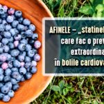 Afinele – „statinele” naturii care ajută la prevenirea bolilor cardiovasculare