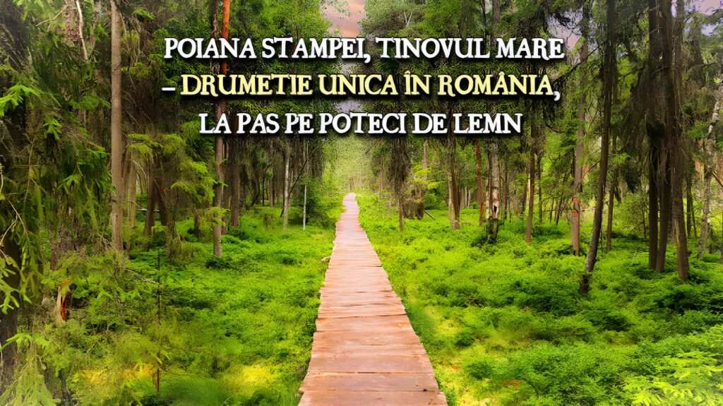 Poiana Stampei, Tinovul Mare Romania