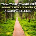 Poiana Stampei, Tinovul Mare Romania
