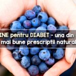 Afine pentru diabet - cea mai buna prescriptie naturala