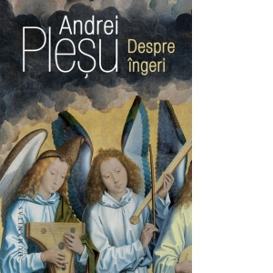 Despre ingeri Andrei Plesu