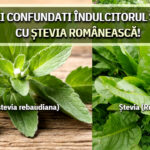 Nu mai confundati indulcitorul stevia cu stevia romaneasca