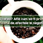 Plante protejare ficat de efectele nocive ale cafelei