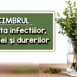 Cimbrul - planta infectiilor, digestiei si durerilor