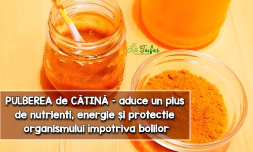 Pulbere de catina