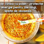 Sirop de catina cu polen