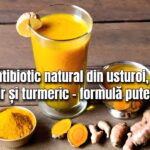 Antibiotic natural