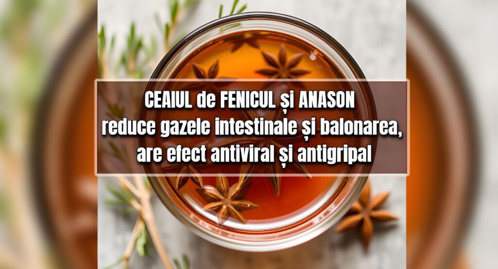 Ceaiul de fenicul si anason - carminativ, antiviral, antigripal