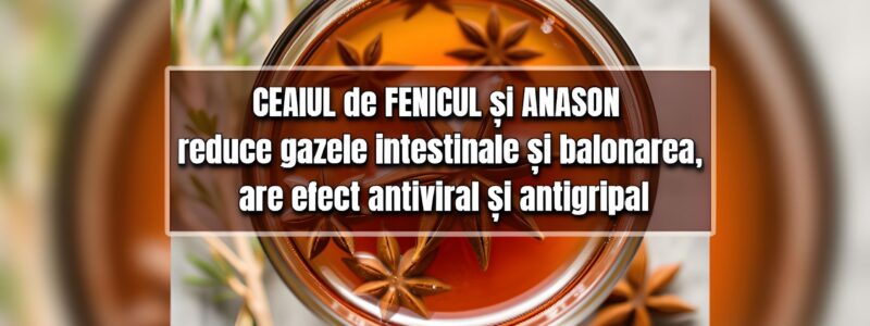 Ceaiul de fenicul si anason - carminativ, antiviral, antigripal