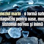 Magneziul marin