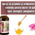 Spray cu propolis si echinacea pentru gat