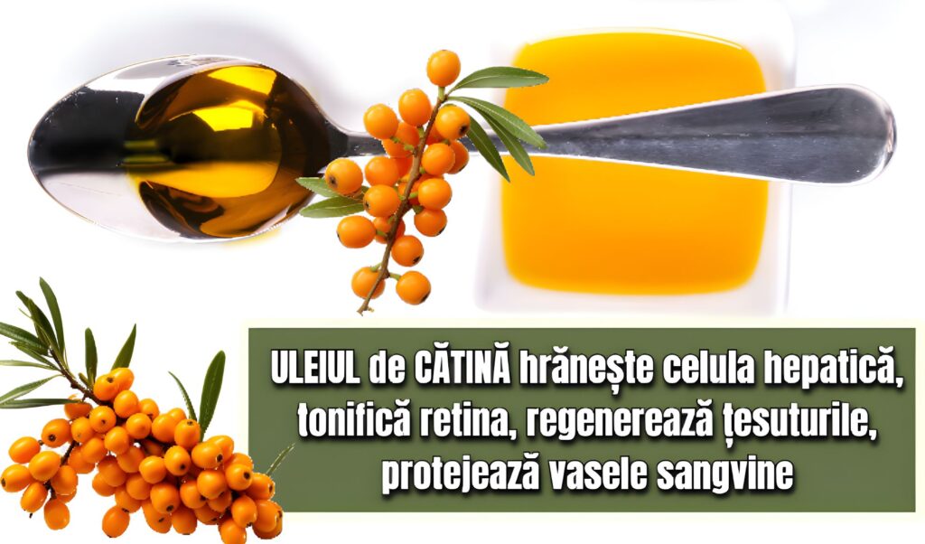 Uleiul de catina hraneste celula hepatica, tonifica retina, regenereaza tesuturile, protejeaza vasele sangvine 