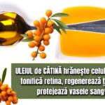 Uleiul de catina hraneste celula hepatica, tonifica retina, regenereaza tesuturile, protejeaza vasele sangvine