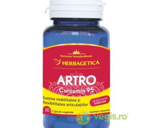 Artro Curcumin 95