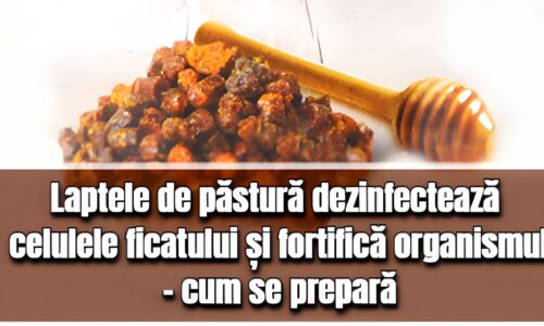 Laptele de pastura - bun pentru ficat