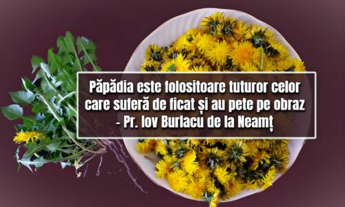 Papadia ajuta in bolile de ficat, bila si piele